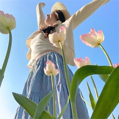 如果德川家康成为总理大臣